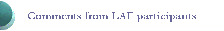 Comments from LAF participants